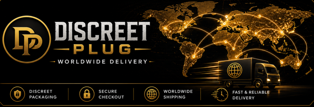 Discreet Plug